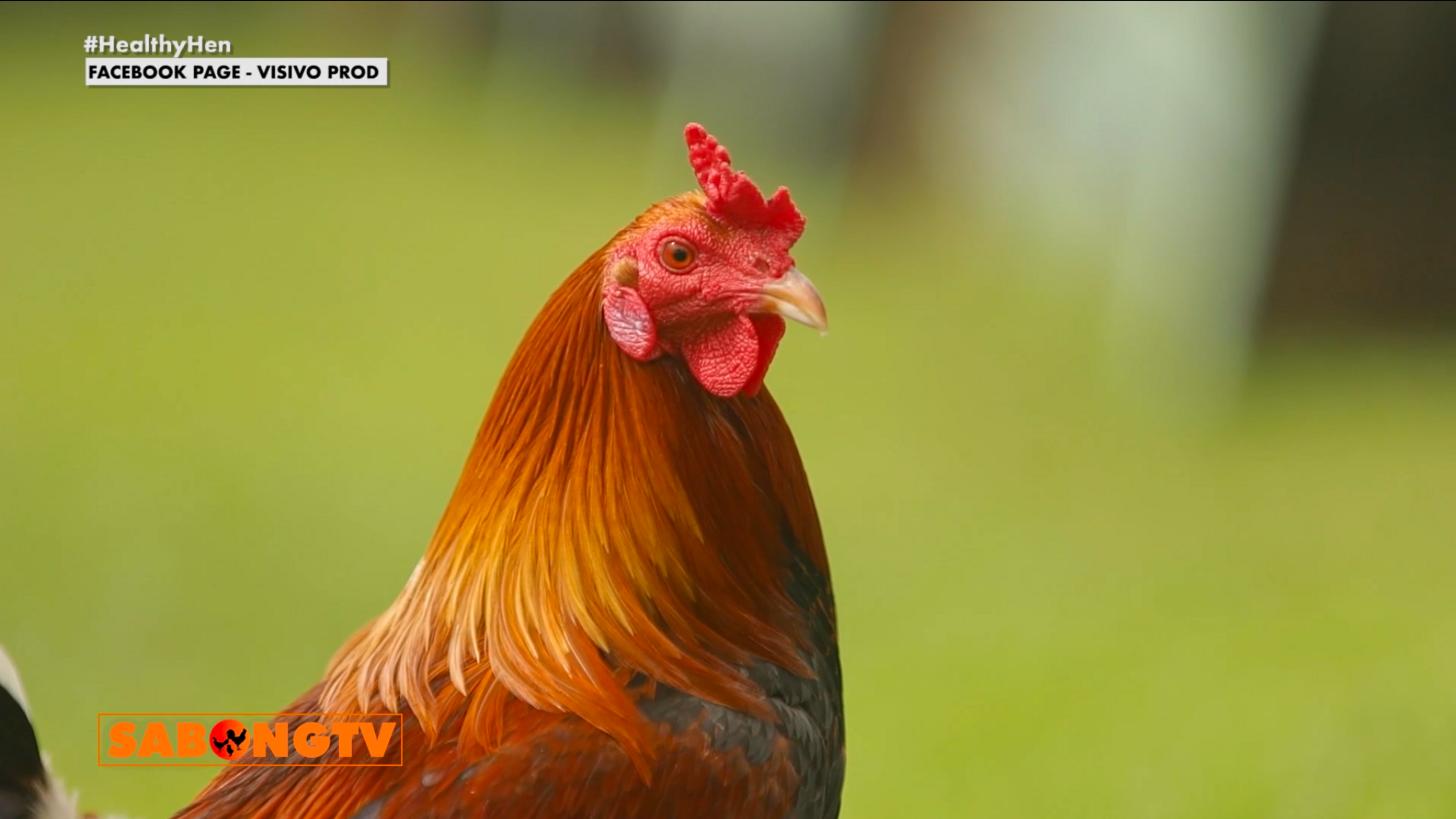 STV March 21, 2025 Episode